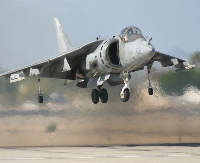 Harrier Harrier