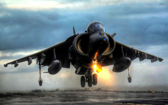 Harrier Harrier