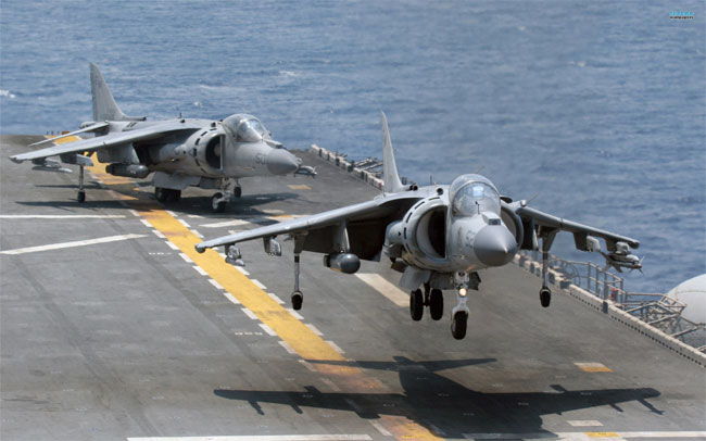 Harrier Harrier